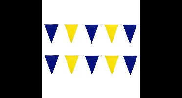Feest/verjaardag vlaggenlijn - 2x - blauw/geel - 10 meter - kleuren/landen thema - vlaggetjes