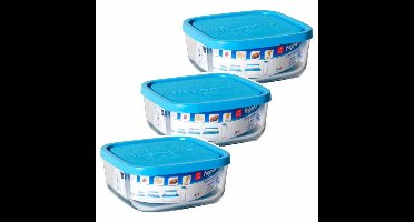 Gerimport Bewaarbakje/vershoudbakje Vigo - 3x - glas - vierkant - met deksel - 300 ml - meal prep