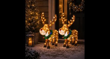 Lumineo Kerstverlichting figuur - 2x - rendier - 36 x 45 x 58 cm - acryl - buiten - lichtfiguur