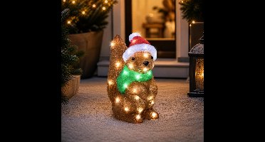 Lumineo Kerstverlichting figuur - eekhoorn - 16 x 30 x 30 cm - acryl - buiten - verlichte figuren