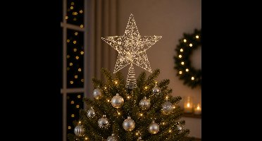 Lumineo Verlichte kerst piek - ster vorm - zilver - micro led lampjes - warm wit - H27 - pieken