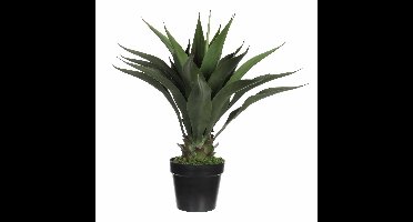 Mica Decorations Kunstplant Agava - groen - in zwarte pot - 60 cm