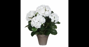 Mica Decorations Kunstplant Hortensia - wit - 45 cm - in pot