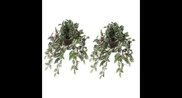 Mica Decorations Kunstplant Tradescantia vader hangplant - 2x - 45 cm - groen