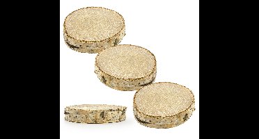 Partydeco Boomschijfjes - 100x stuks - hout - bruiloft - naamkaartjes/plaatskaartjes