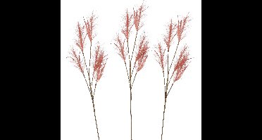 Pluimgras losse steel/tak - 3x - meerdere stengels - oudroze - 98 cm - Decoratie kunst pluimen