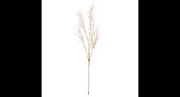 Pluimgras losse steel/tak - meerdere stengels - creme wit - 98 cm - Decoratie kunst pluimen