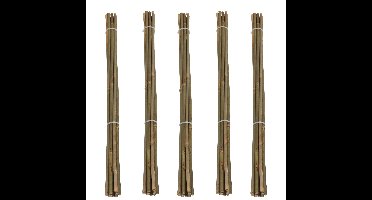 Pro Garden Plantenstokken - 50x - bamboe - H60 cm - plantensteun - bamboestokken/tonkinstokken