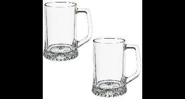 Secret de Gourmet Bierglazen - 8x stuks - bierpullen - handvat - 320 ml - 12 cm