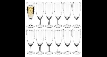 Secret de Gourmet Champagneglazen Conical - 12x stuks - prosecco/cava glazen - 150 ml