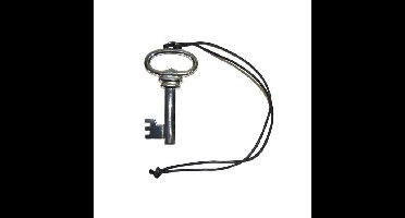 Sleutel aan halsketting - zilver - 12 cm - metaal - verkleed accessoires