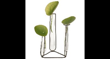 Stekvaasje/bloemenvaasje reageerbuis model - D12 x H22 cm - op voet van metaal