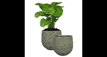 Ter Steege Steege Plantenpot - keramiek - donkergroen - stripes - D2xH32 cm