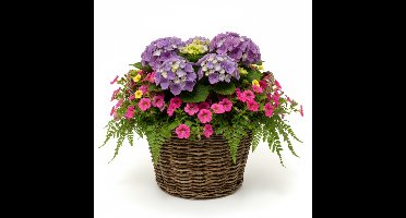 VD Leeden Plantenmand Twijg - rond - bruin - 40 x 30 cm - rotan - gevlochten riet - bloemenmand