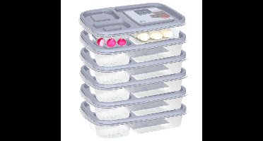 Vershoudbakje/lunchbox - 6x - luchtdicht - 3 vakjes - lichtgrijs - kunststof - broodtrommel -24 x 15