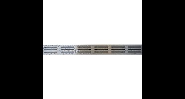 Wiesbaden RVS Douchegootrooster Type 1 - 60x7cm - Voor 3e Generatie