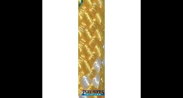 POL2249812608 - POLY-GEVLOCHTEN-32 KLEUR 8MM. GEEL (150 M)