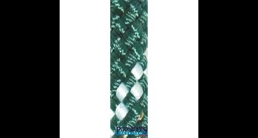 POL2259812912 - POLY-GEVLOCHTEN-32 KLEUR 12MM. GROEN (165 M