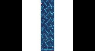 POL2266812118 - POLY-GEVLOCHTEN-32 KLEUR 18MM. MARINE (110 M