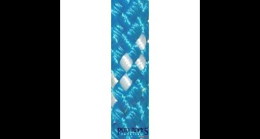 POL2269812608 - POLY-GEVLOCHTEN-32 KLEUR 8MM. BLAUW (150 M)