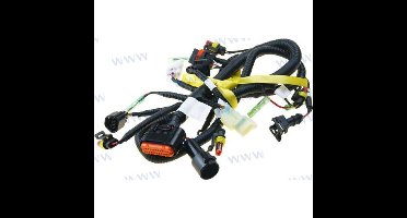 PAF20-05001700MEFIB - ECU-KABELASSEMBLAGE "M" MODELLEN