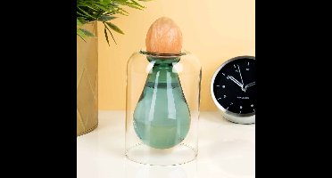 Avocado Ontkiemvaas