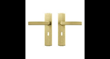 AXA AXA Curve klik deurkruk Blok op schild sleutelgat 56mm - aluminium/goud