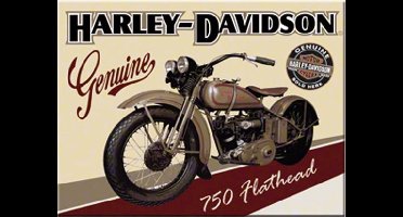Harley Davidson Flathead Magneet