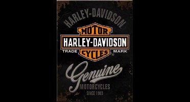 Harley-Davidson Genuine Magneet