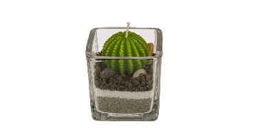 Cactus Kaars In Glas