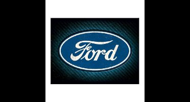 Ford - Magneet