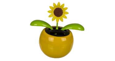 Solar Bloemen