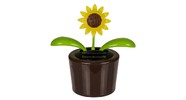 Solar Bloemen