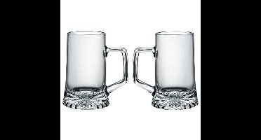 6x Bierglazen/bierpullen 51 cl