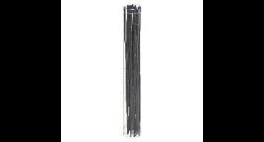 Atmosphera Geurstokjes navulling - zwart - 20x stokjes - 25 cm - hout