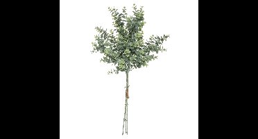 Atmosphera kunstplant boeketje - eucalyptus takken - groen - 64 cm
