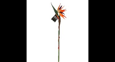 Bellatio Design Kunstbloem - 84 cm - tak - Paradijsvogelplant