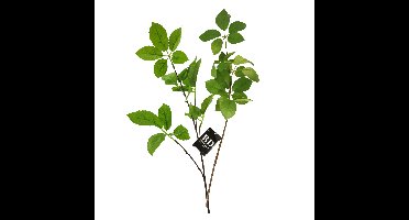 Bellatio Design Kunstbloem bladgroen tak - 2x - 75 cm