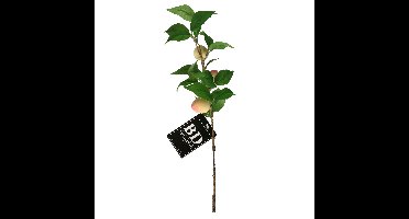 Bellatio Design Kunstbloem fruit tak Perzik - 40 cm