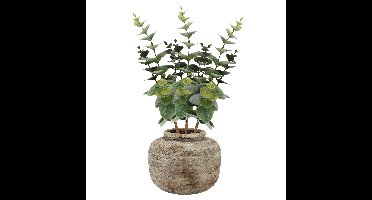 Bellatio Design Kunstbloem/kunsttak Eucalyptus - 5x - 38 cm