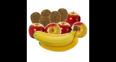 Bellatio Design Kunstfruit - fruitschaal decoratie set