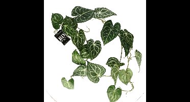 Bellatio Design kunstplant slinger - Anthurium - groen - 109 cm