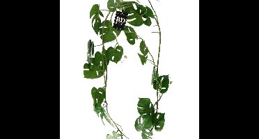 Bellatio Design kunstplant slinger - Monstera - groen - 180 cm