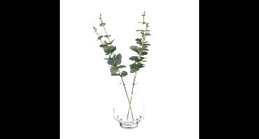Bellatio Design Kunstplant takken - 2x - Eucalyptus Cinera - 38 cm