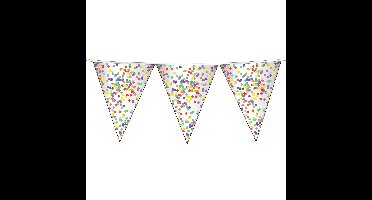 Confetti thema feest vlaggenlijn - 2x - plastic - 10m - Kinderfeestje