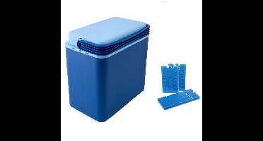 Cosy & Trendy Koelbox - 24 liter - met 4x koelelementen - 39x25x40 cm
