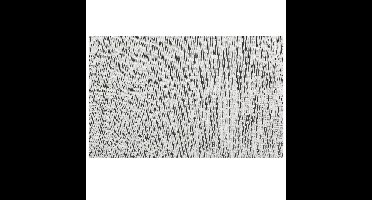 Cosy & Trendy Placemats - geweven zwart/wit - 30 x 45 cm