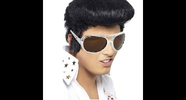 Elvis verkleed set pruik zwart en bril voor heren