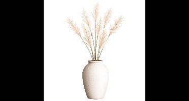 House of Seasons pluimgras losse steel/tak - 6x - creme wit - 98 cm