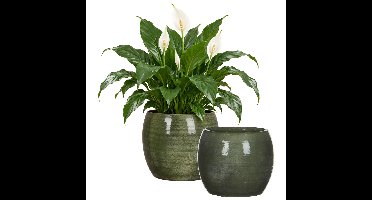 Mica Decorations Bloempot - 2x - groen - keramiek - 24 x 22 cm